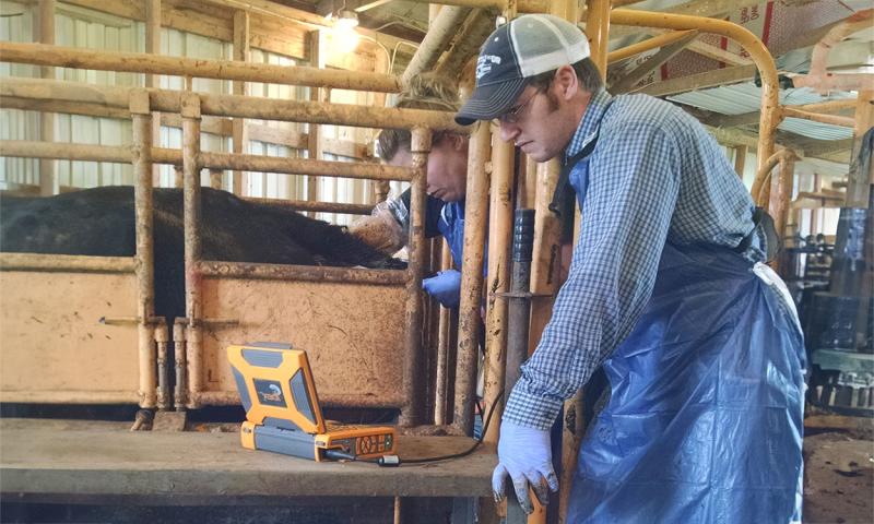 A young man analyzing the results of a pregnancy check on an electronic device.