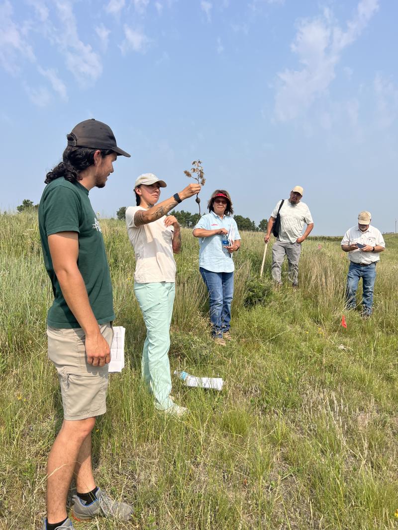 A woman in a baseball cap and T-shirt holds up a plant and speaks to a small group of people
