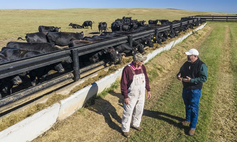 Rancher and veterinarian having a discussion near a cattle feed bunker.