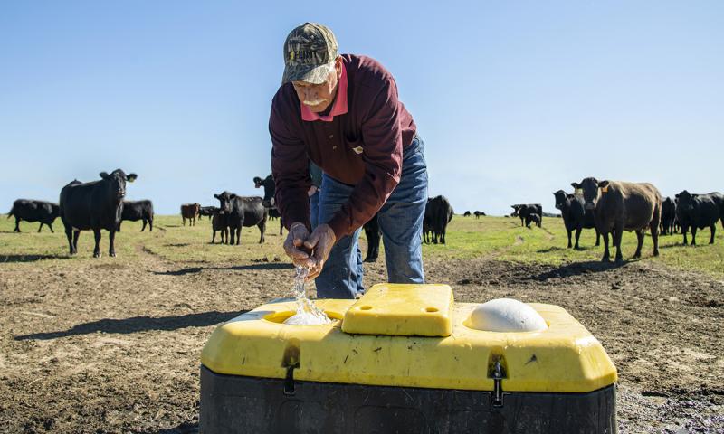 Rancher setting up a floating ball valve water trough in a pasture.