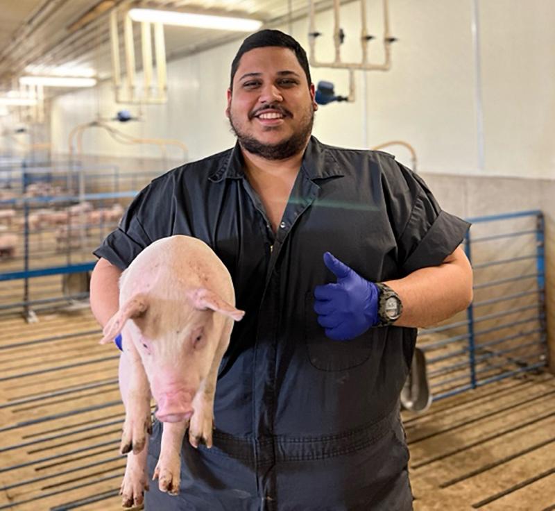 Researcher holding a pig at the SDSU commercial wean-to-finish research barn.