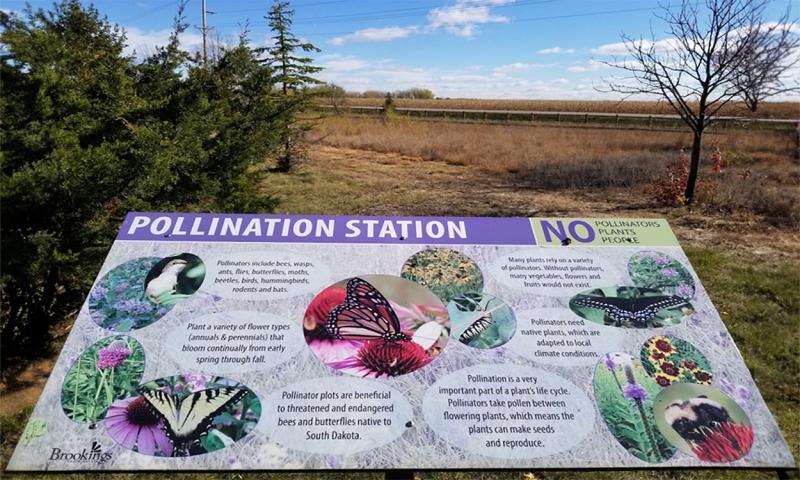 A sign with the text Pollination Station with grass and trees in the background.