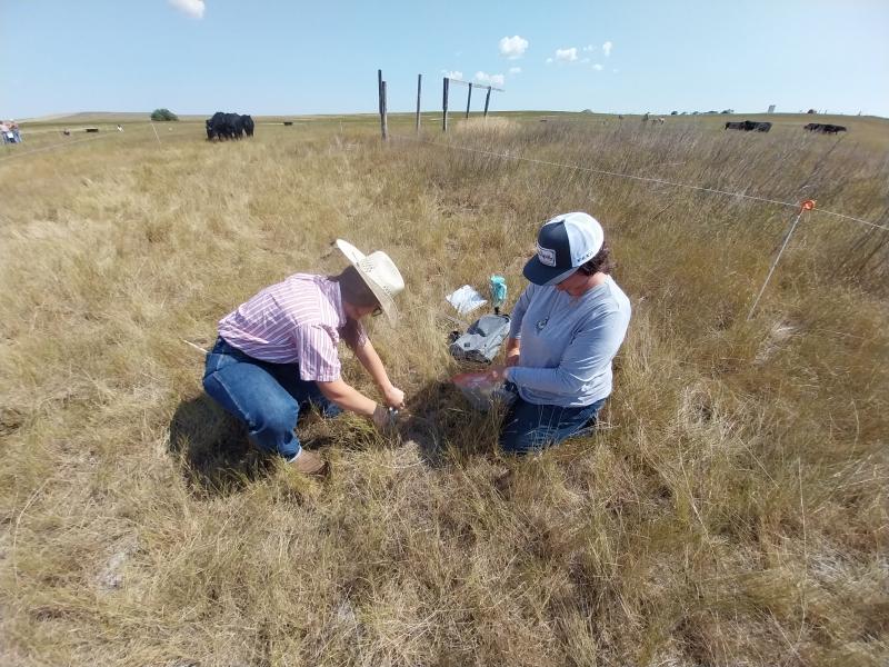 Two women inspecting range plants