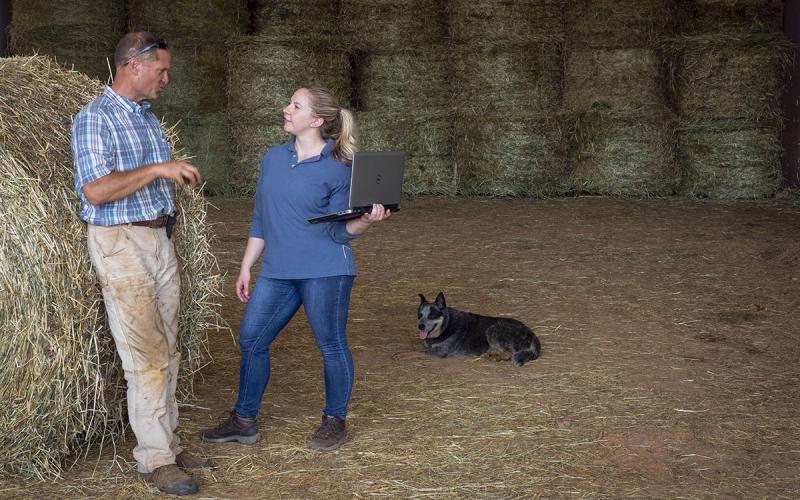 Rancher and researcher in a hay shed discussing information on a laptop computer.