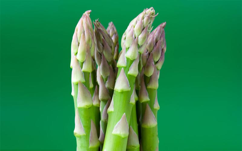 A bundle of freshly harvested asparagus spears.