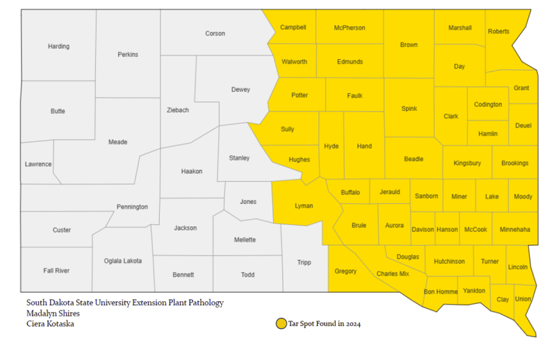Color-coded map showing the 2024 Tar Spot Distribution in South Dakota. For a detailed description, please call SDSU Extension at 605-688-4792.