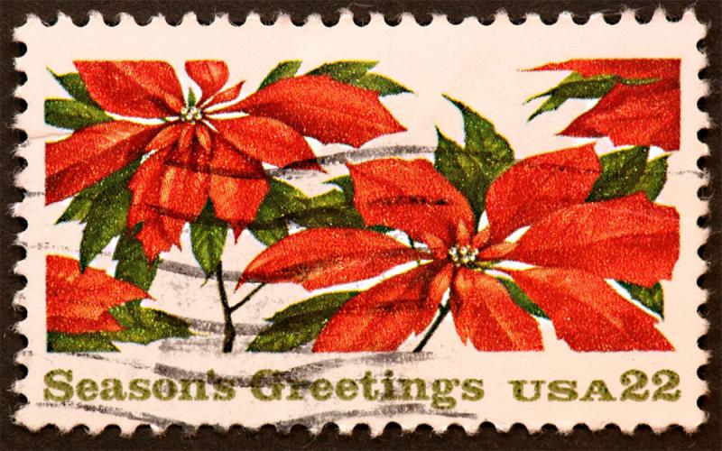 U.S. Postage stamp featuring a poinsettia illustration.