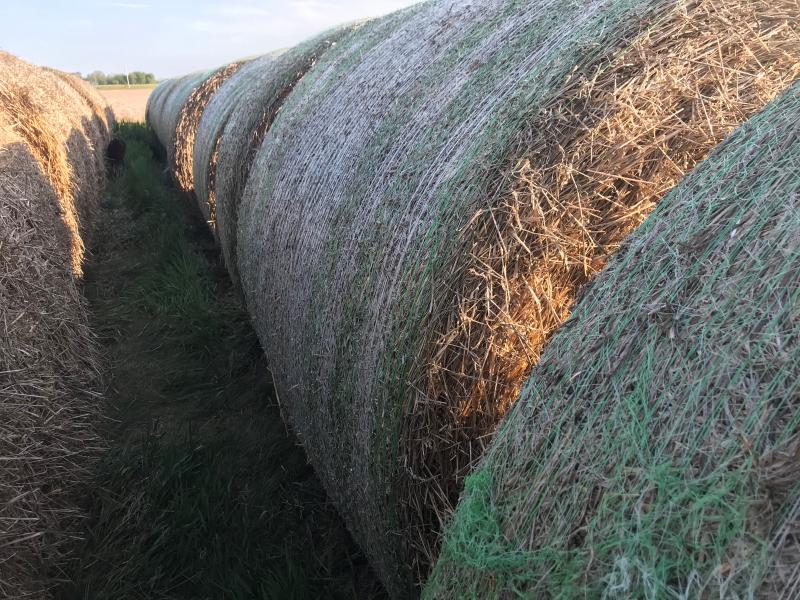 A close-up shot of big round bales of hay