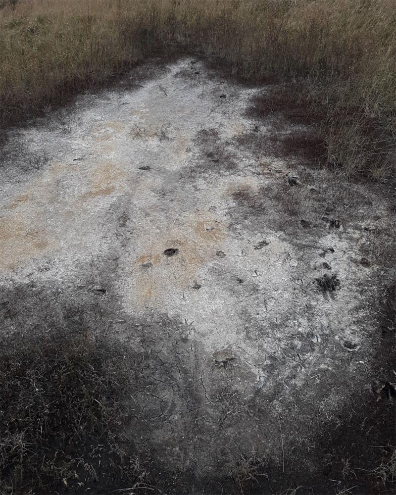 Salts accumulate on the soil surface of a field with salinity issues.