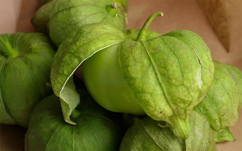 Harvested, green tomatillo fruits on a brown paper bag.