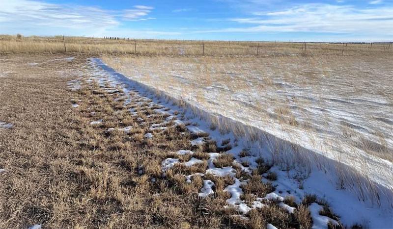Two pastures side-by-side. The left has minimal snow capture due to reduced plant residue. The right has ample snow capture throughout due to increased plant residue.