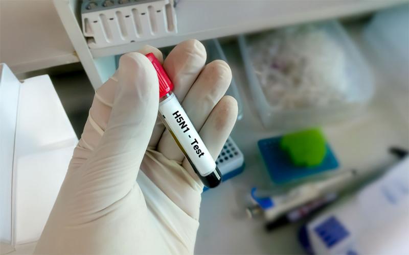 Gloved hand holding a test vial for H5N1 virus in a diagnostic lab.