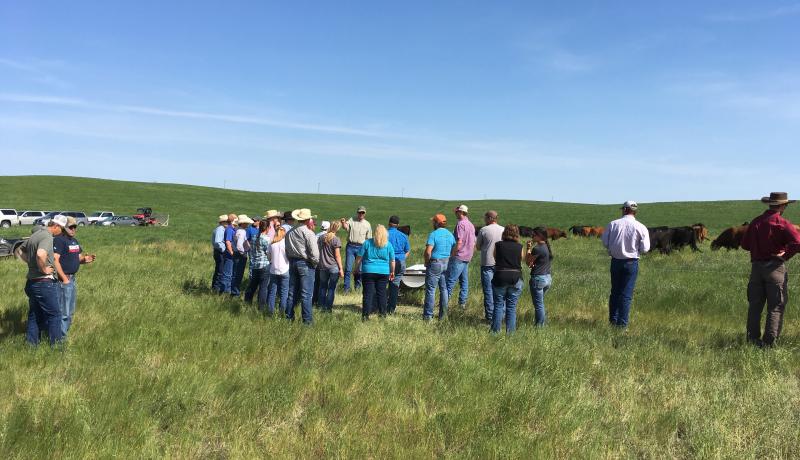 A group of participants of the beefSD program