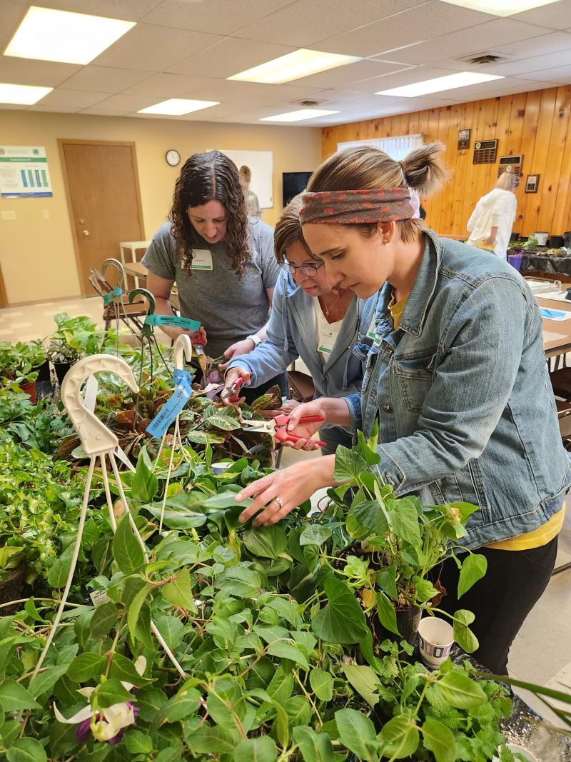Women look through potted plants on a table in a classroom