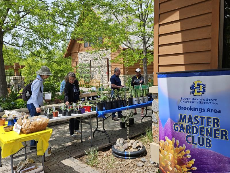 People shop for plants on tables outside