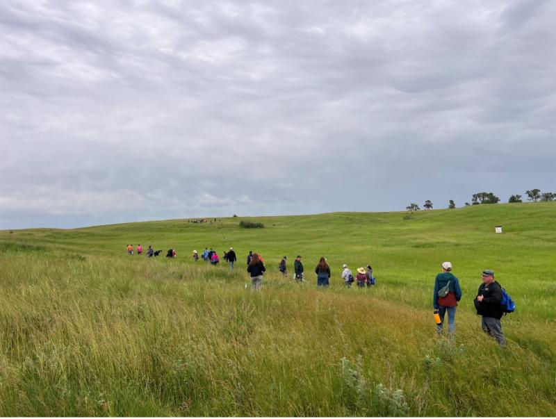 People stand in a line in the middle of an open pasture