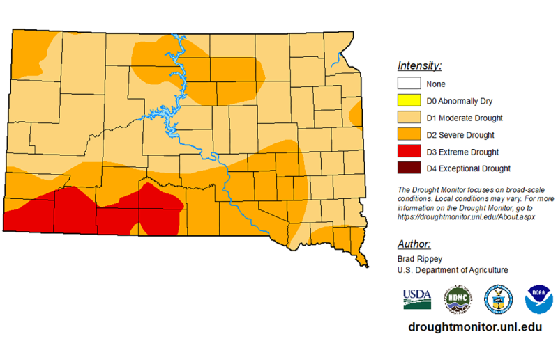 Color-coded map of South Dakota indicating drought status throughout the state. For a detailed description, please call SDSU Extension at 605-688-4792.