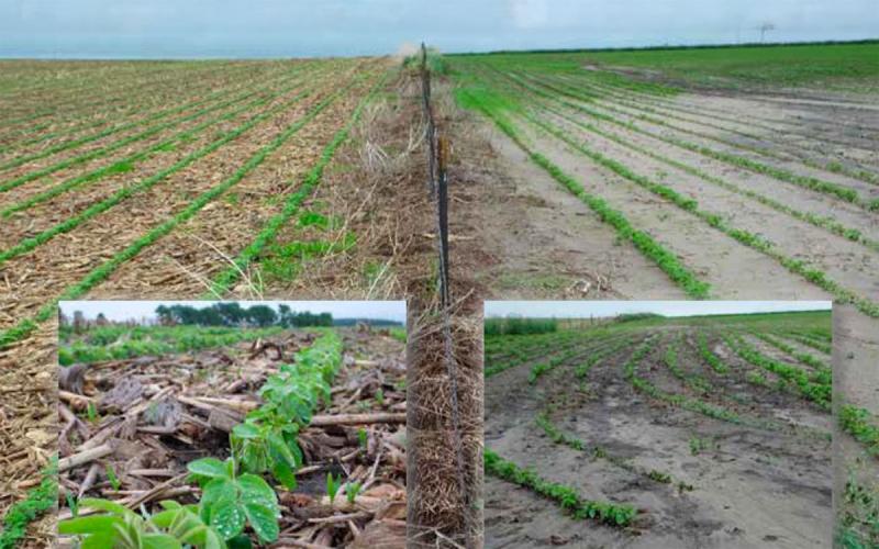 Two side-by-side fields. The left is a no-till field with crop residue throughout and minimal erosion. The right is a tilled field with no surface cover and notable erosion throughout.