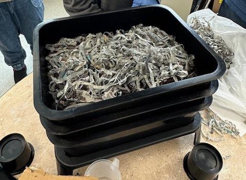 Worm composting, or vermiculture.