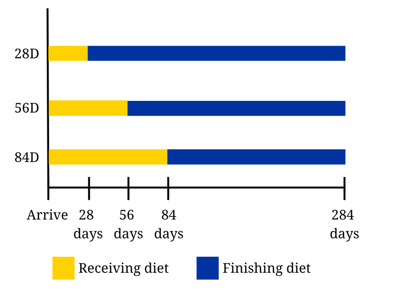 Treatment group design