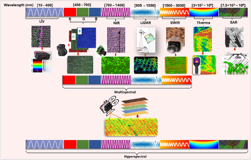 A Multilayered Exploration of Imaging Technologies