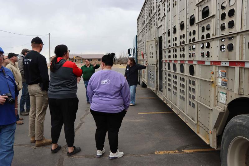 A group of people stands outside a livestock trailer