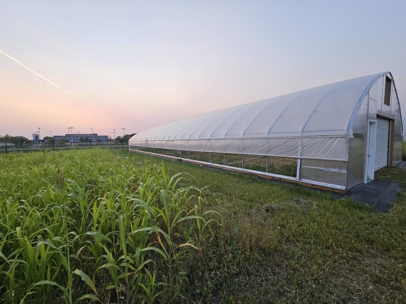 High tunnel used for specialty crops