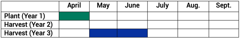 Rhubarb growth and harvest timeline. For a detailed description of this graphic, please call SDSU Extension at 605-688-4792.