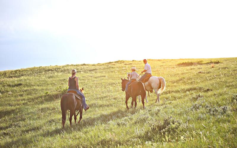 Three ranchers riding horseback in the summer sun.