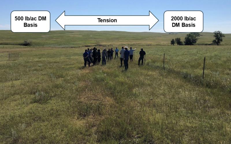 A picture of producers (ranchers) in a rangeland pasture looking into another pasture that has different forage biomass quantities. The first pasture in the example has 500 lb/ac of forage on a dry matter basis, and the second has 2,000 lb/ac. The photo was taken at the SDSU Cottonwood Field Station.