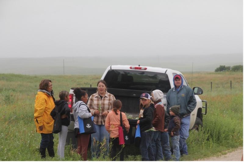 A woman stands behind a white pickup's tailgate talking to a group of people in an open pasture