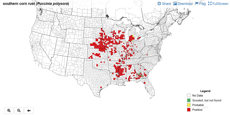 A map of the United States with counties known to have Southern Rust filled in with red, counties with probable infection being yellow, counties with no infection found being green, and white counties having no data. For a detailed description, please call SDSU Extension at 605-688-4792.