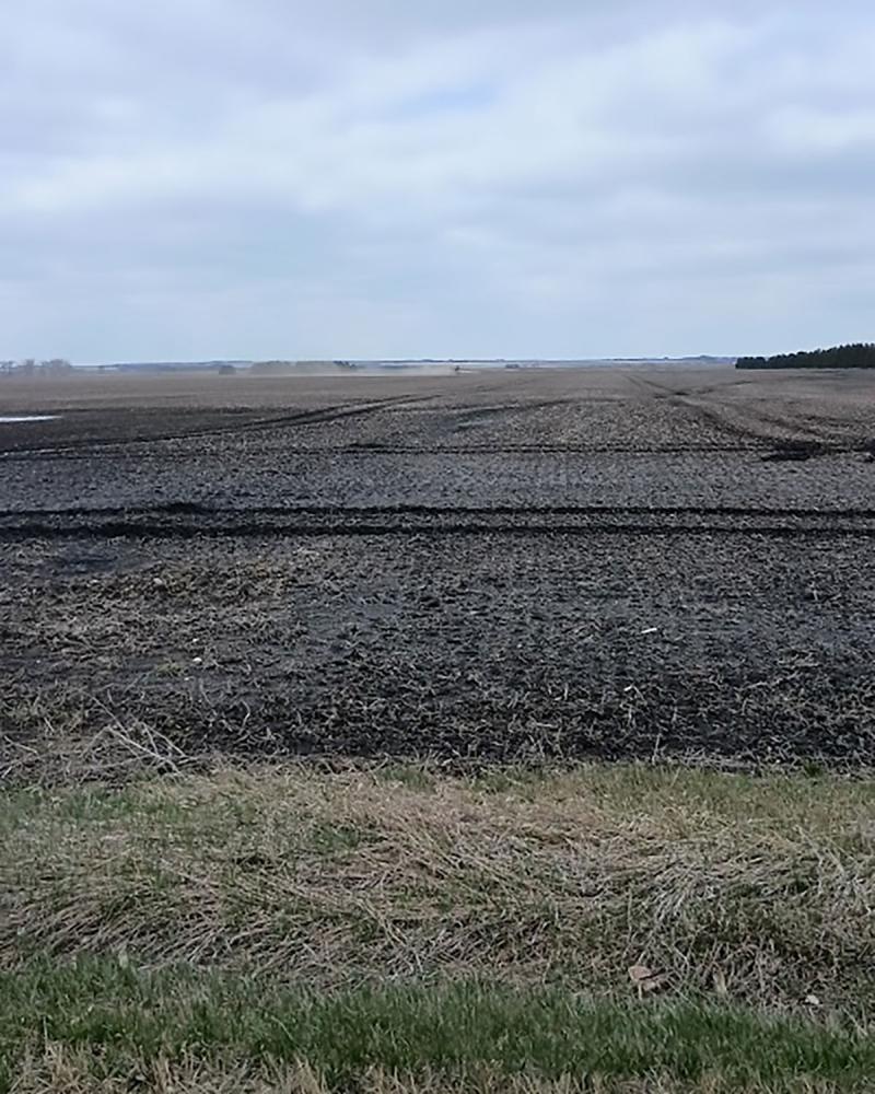 Harvested crop field with deep soil ruts left by equipment tires.