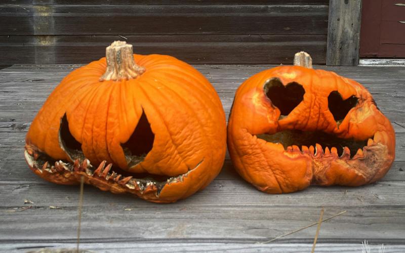 Two carved jack-o-lanterns decaying on a rustic porch.