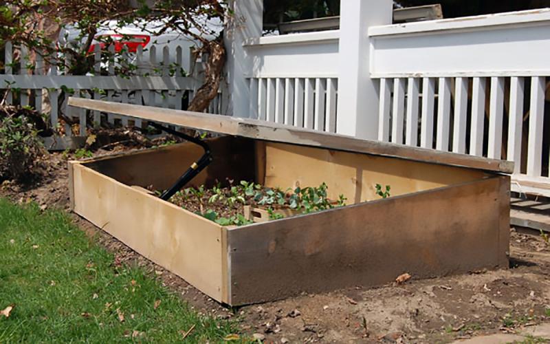 Wood cold frame in a yard with numerous seedlings growing inside it.