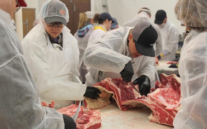 Group of meat processing trainees inspecting parts of a beef carcass.