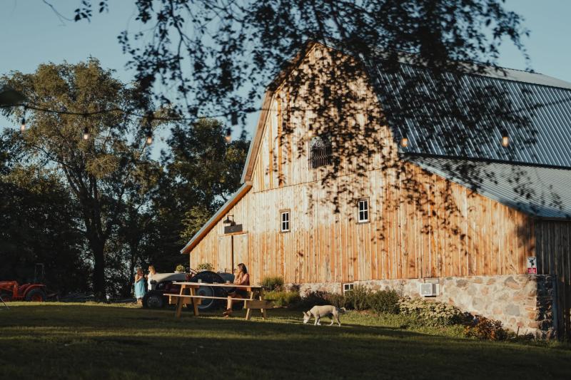 A large, wooden barn stands in the background, with tree branches in the foreground