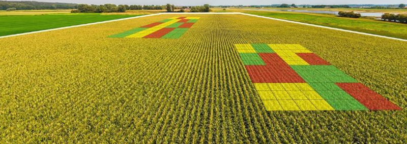 Nitrogen rate map layered on top of a field