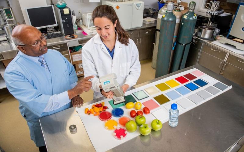 Food science student examining fruits and vegetables with a teacher in a lab.