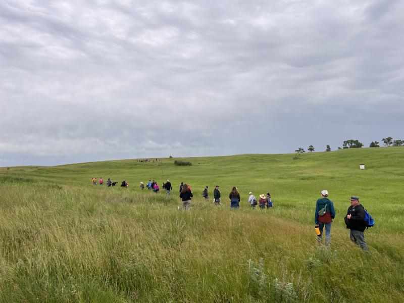 a group of youth in a grassy pasture