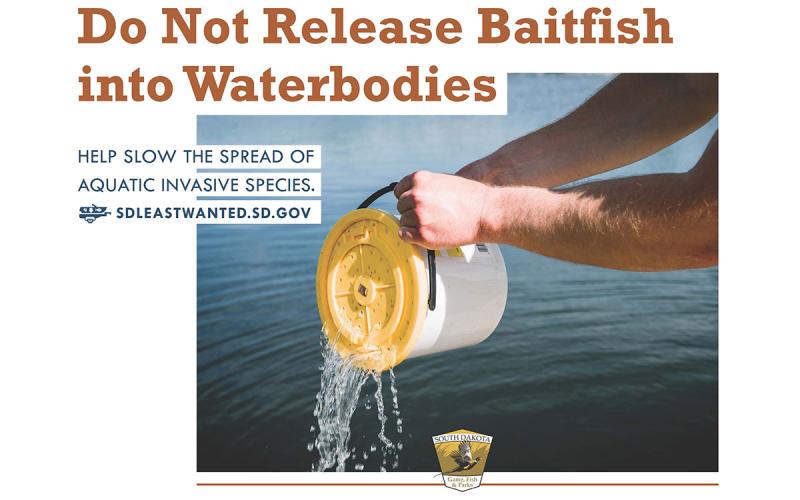Sign showing a bait bucket at a lake with the text “Do not release baitfish into waterbodies.
