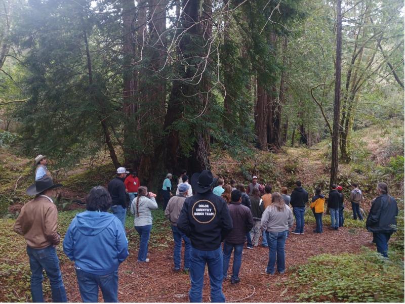 A group of people walks through a nature preserve filled with large trees