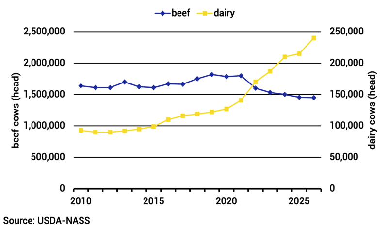 Line graph South Dakota beef cow and dairy cow inventory levels from 2010 to 2026. For a detailed description, please call SDSU Extension at 605-688-4792.