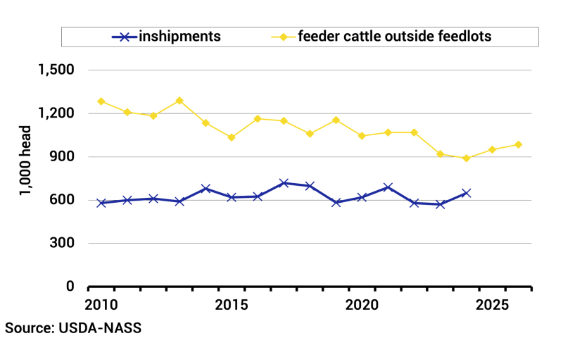 Line graph showing South Dakota cattle inventory levels from 2010 to 2026. For a detailed description, please call SDSU Extension at 605-688-4792.