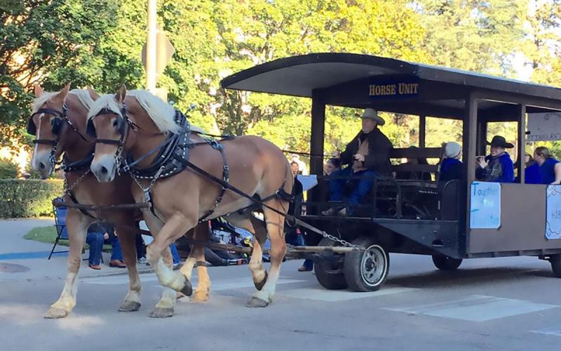 A horse-drawn trolley in a fall parade.