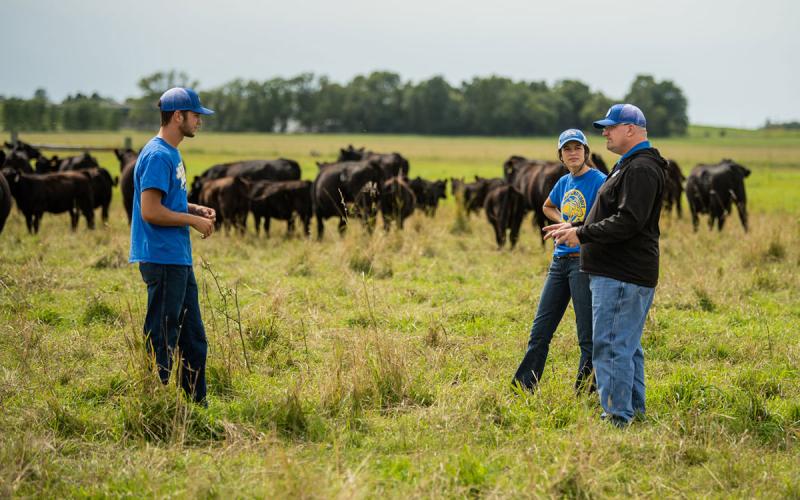 Three producers having a discussion in a cattle pasture.