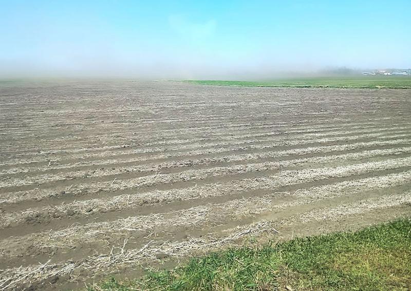 Wind carrying a large dusting of topsoil over a dry agricultural field.