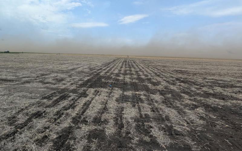 Wind carrying a cloud of topsoil over a dry, bare field.