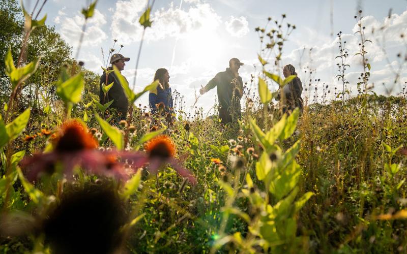 Group of producers having a discussion in a pasture with native flowers blooming in the foreground.