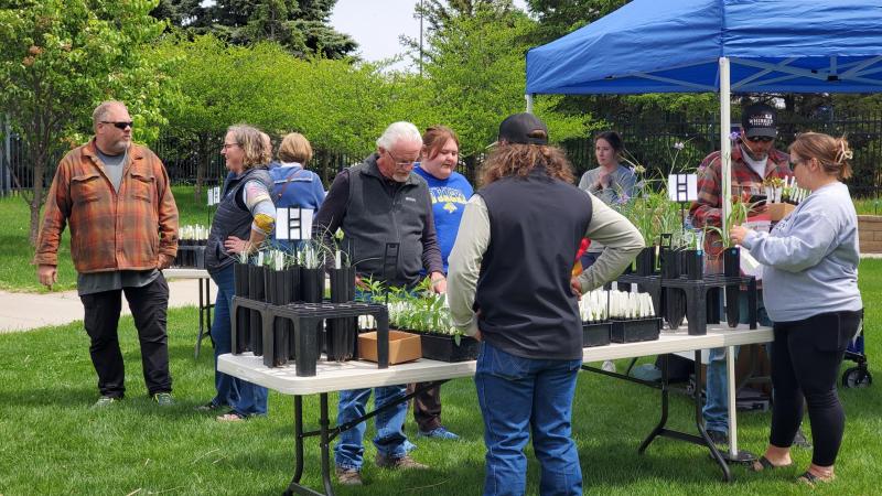 People look at plant seeds and cuttings on a table